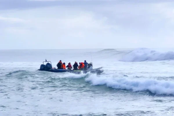 Protea Banks is the shark diving capital of South Africa